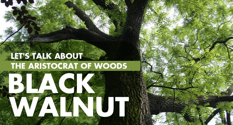 Aristocrat of Woods: Black Walnut